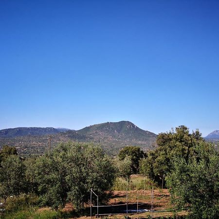 Villa Sa Pruna Oliena Exterior foto