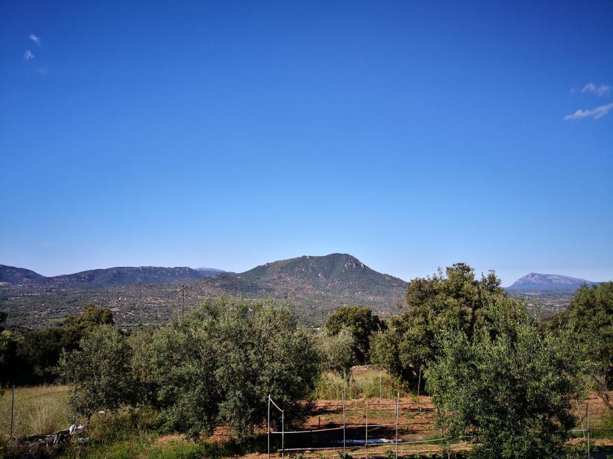 Villa Sa Pruna Oliena Exterior foto