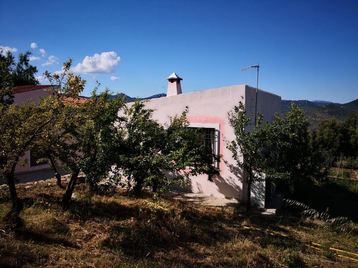 Villa Sa Pruna Oliena Exterior foto